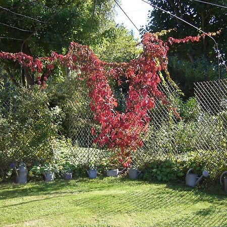 Les Jardins De L'Aulnaie Bed and Breakfast Fontaine-sous-Jouy Buitenkant foto