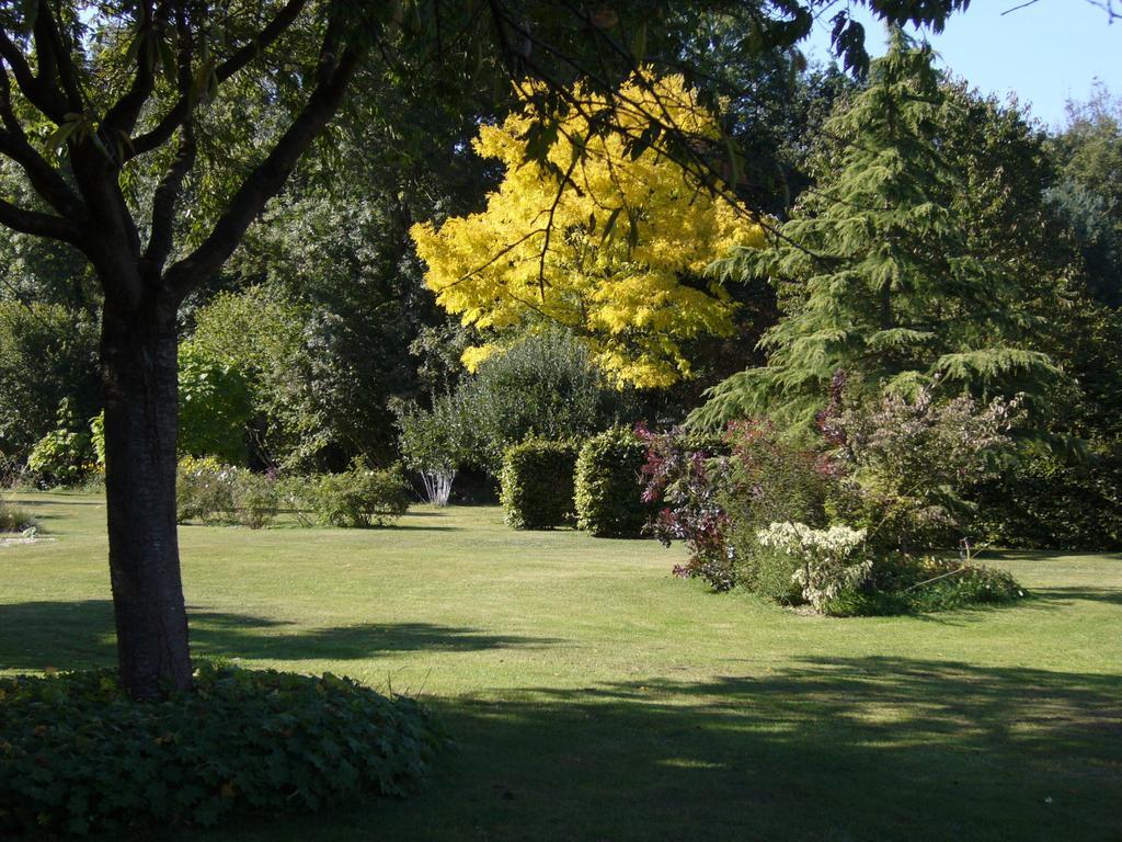 Les Jardins De L'Aulnaie Bed and Breakfast Fontaine-sous-Jouy Buitenkant foto