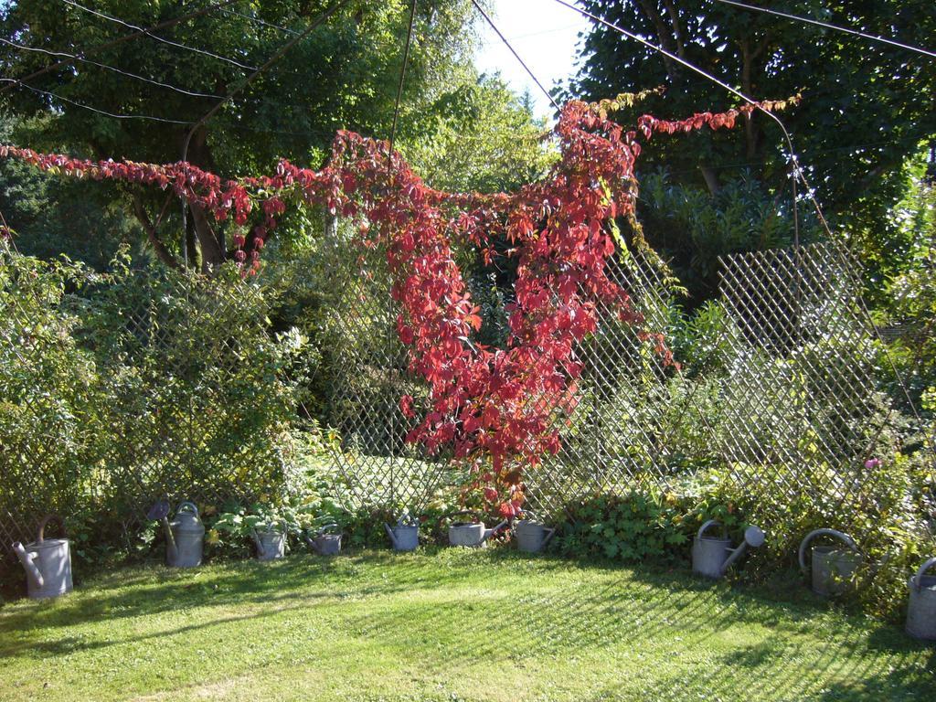 Les Jardins De L'Aulnaie Bed and Breakfast Fontaine-sous-Jouy Buitenkant foto