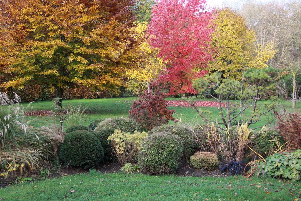 Les Jardins De L'Aulnaie Bed and Breakfast Fontaine-sous-Jouy Buitenkant foto