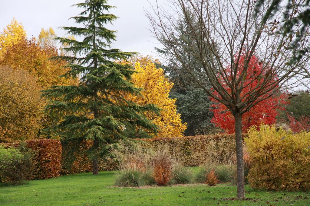 Les Jardins De L'Aulnaie Bed and Breakfast Fontaine-sous-Jouy Buitenkant foto